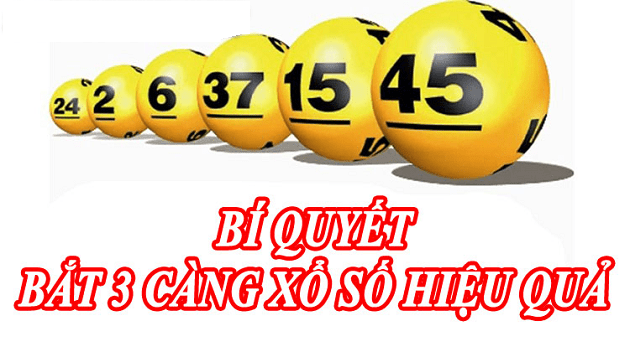  3 càng 