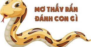  thấy rắn